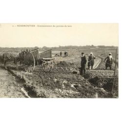Barbatre