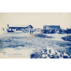 Barbatre