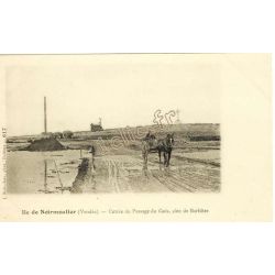 Barbatre