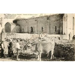 Chateau-D'Olonne