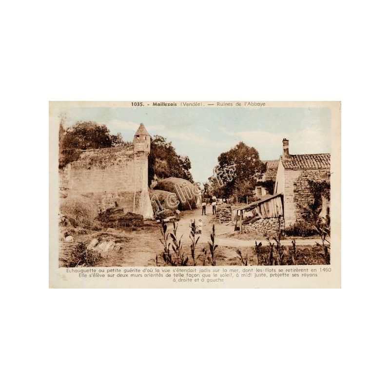 Maillezais