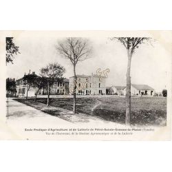 Sainte-Gemme-La-Plaine