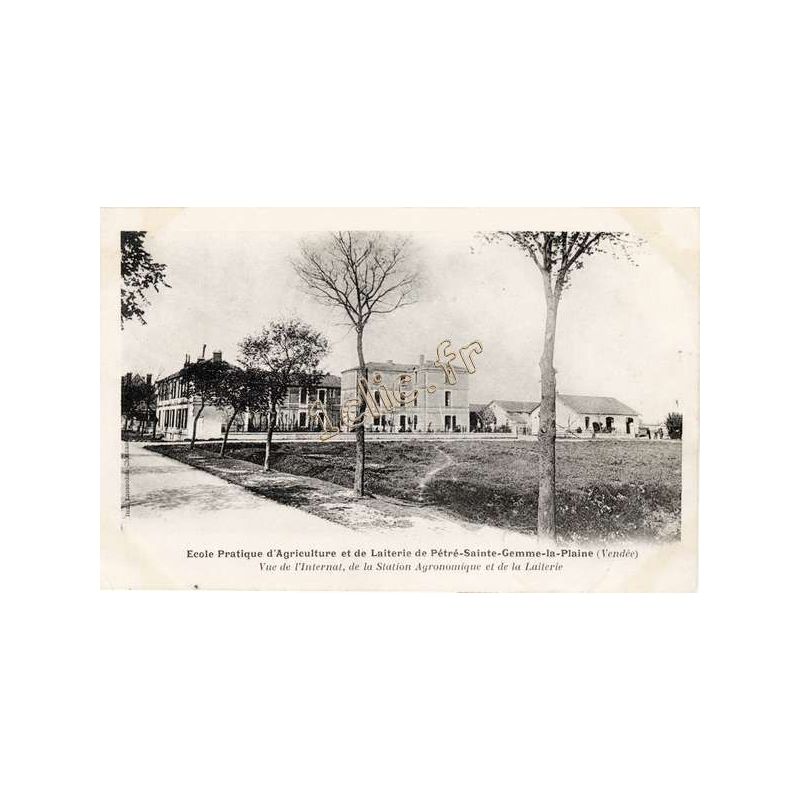 Sainte-Gemme-La-Plaine