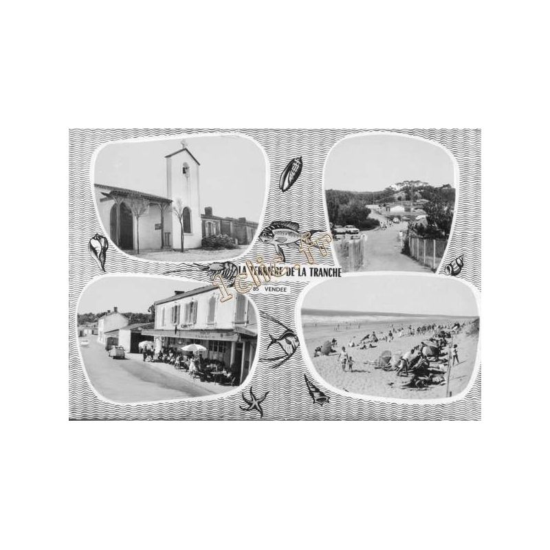 Terriere-La-Tranche