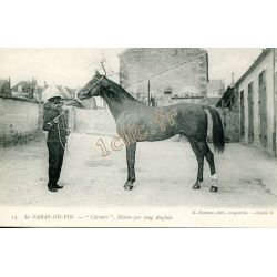 Haras-Du-Pin