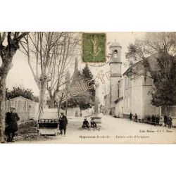 Rognonas