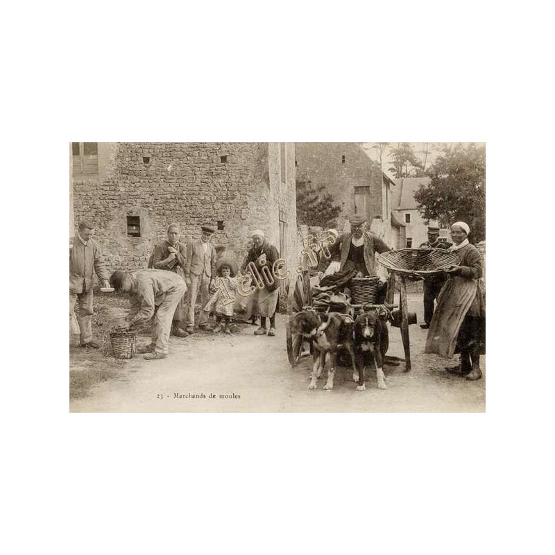 Sainte-Honorine-Sur-Mer