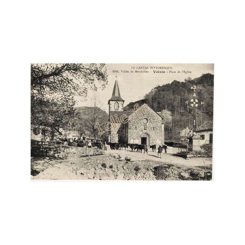 Velzic